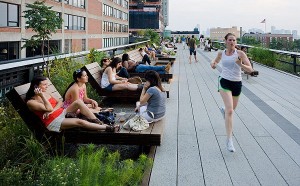 Highline-Park-New-York-4
